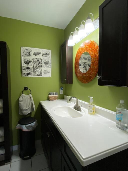 One Bed Suite Near Beaches And Downtown Sarasota Buitenkant foto