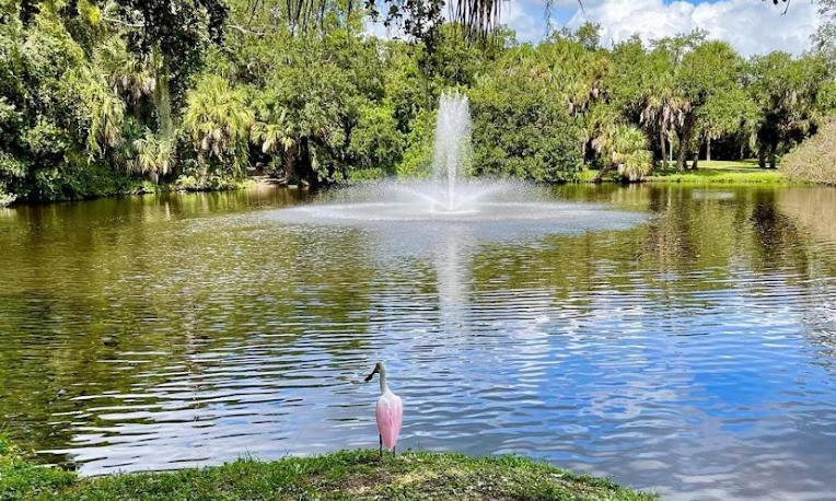One Bed Suite Near Beaches And Downtown Sarasota Buitenkant foto